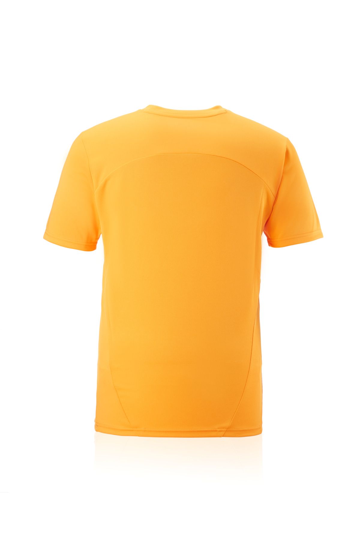 Galatasaray Puma A Takım Antrenman T-Shirt 77969511