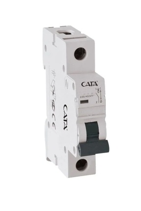 2 Amper Otomat Ct-9181 Image 0