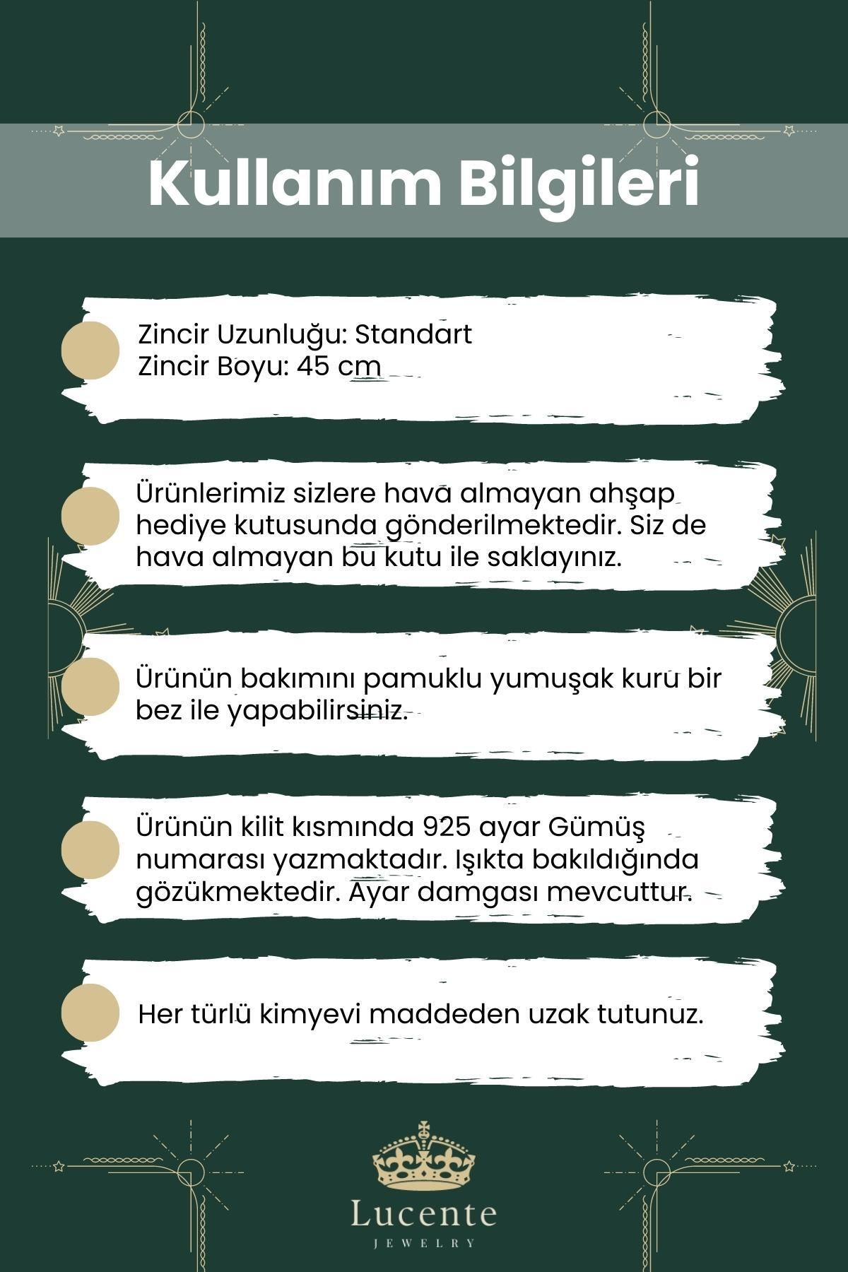 Luxury Serisi Işıklı Hediye Kutulu Gümüş Zincirli 925 Ayar Minimal Kalp Kolye