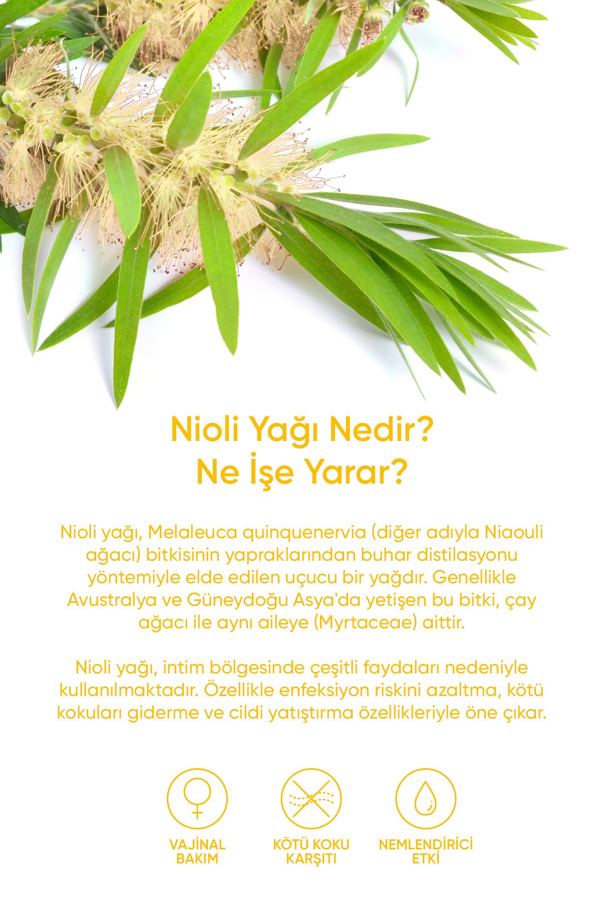 Nioli Uçucu Yağı 10 ml - %100 Saf ve Doğal