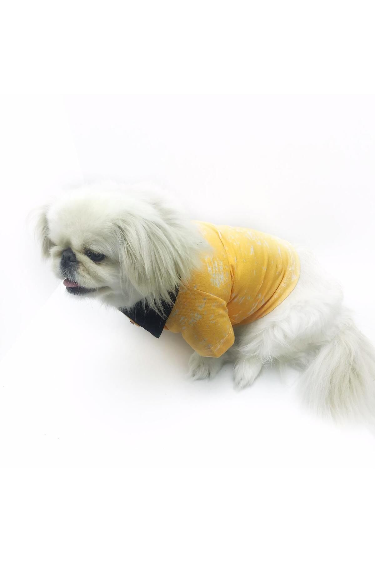 Orange Skies Polo Yaka Tişört Köpek Kıyafeti  (medium / 2,5 - 3,5 kg )