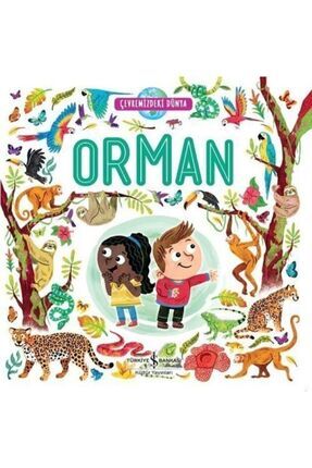 Orman - Çevremizdeki Dünya Image 0
