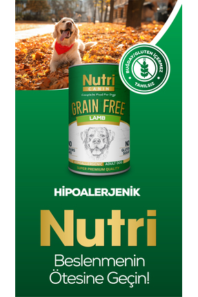 Hipoalerjenik Kuzu Etli Tahılsız 400gr Yetişkin Köpek Yaş Maması 1 Adet Image 1