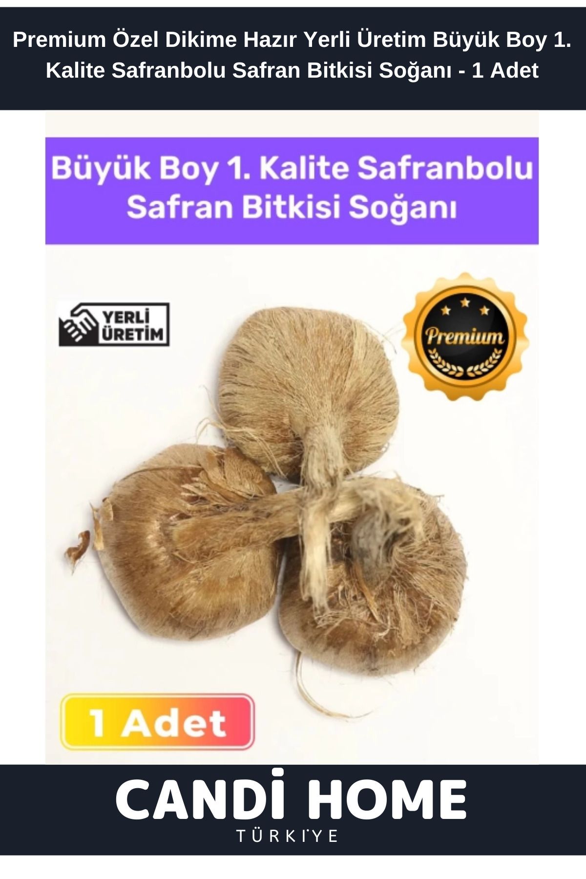 HOBİ CONDİ Yerli ÜretimDikime Hazır Büyük Boy...