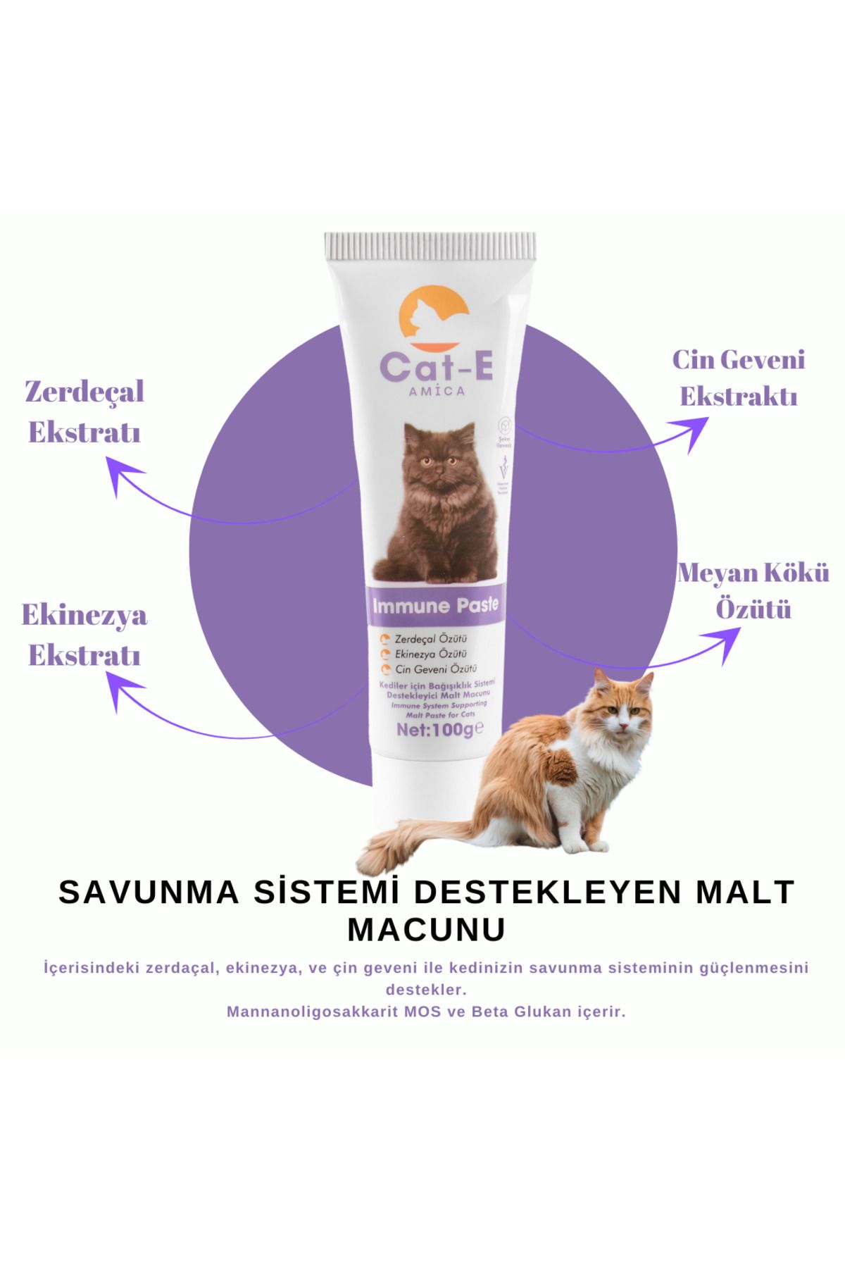 STERİLE PASTE & IMMUNE PASTE