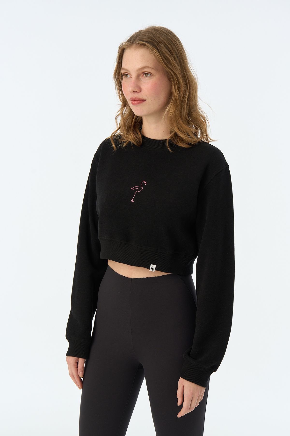 Flamingo Supersoft Crop Sweatshirt - Siyah | Lisanslı & Organik