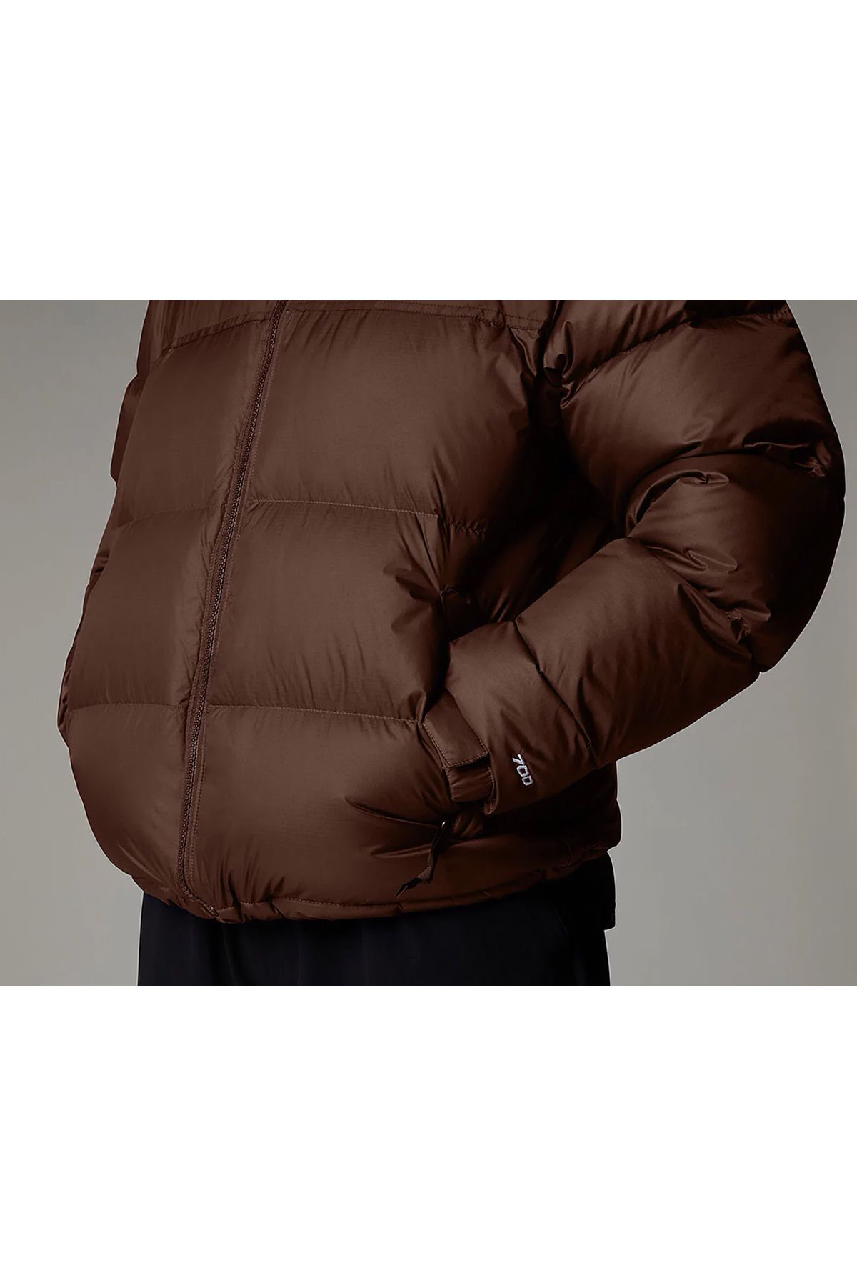 W 1996 Retro Nuptse (700 Kaz Tüyü) Kadın Kışlık Outdoor Montu Renkli