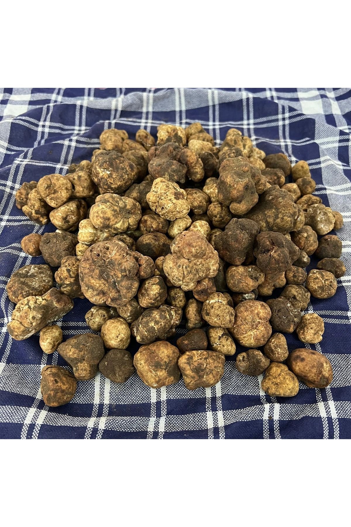 gurme trüf Taze Beyaz TrüfMantarı 40 Gram – B...