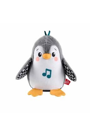 Fisher-Price Sevimli Penguen Peluş Karın Üstünde Oynama Oyuncağı, Yenidoğan Müzikli Oyuncak HNC10 Image 0