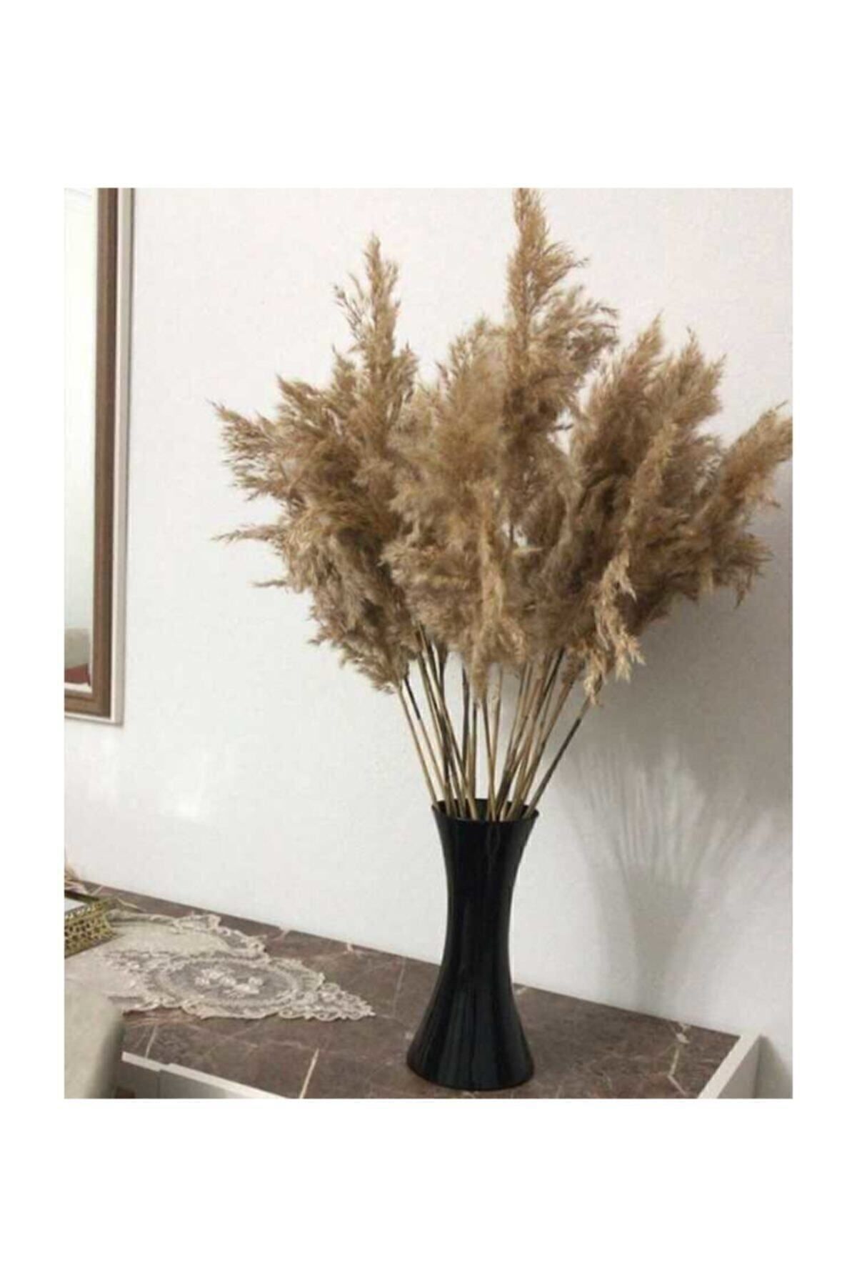 Tek Dal Zemerya - 10 Adet Doğal Pampas Otu 50 Cm Beyaz 5417SERI