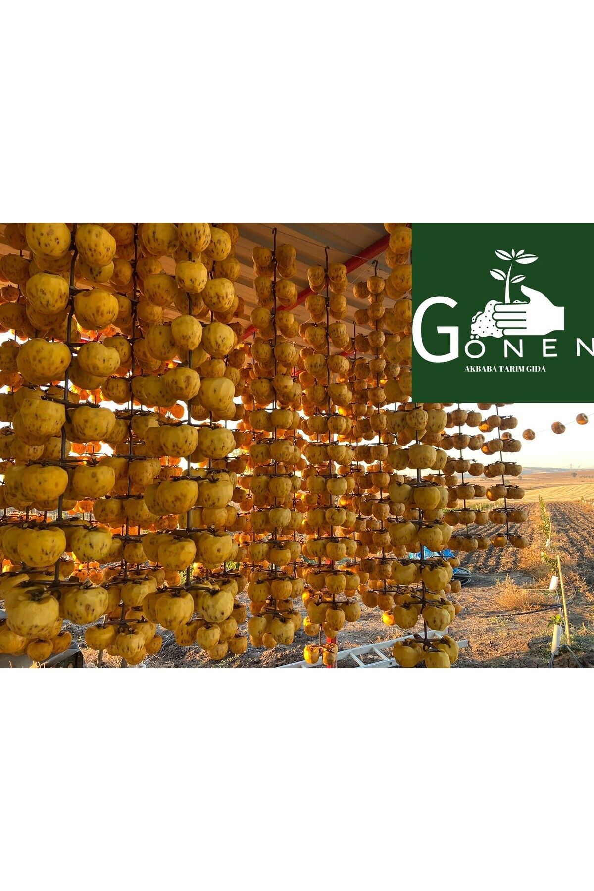 Cennet Hurması - Trabzon Hurması Kurusu - Kurutulmuş Cennet Hurması 1000gr