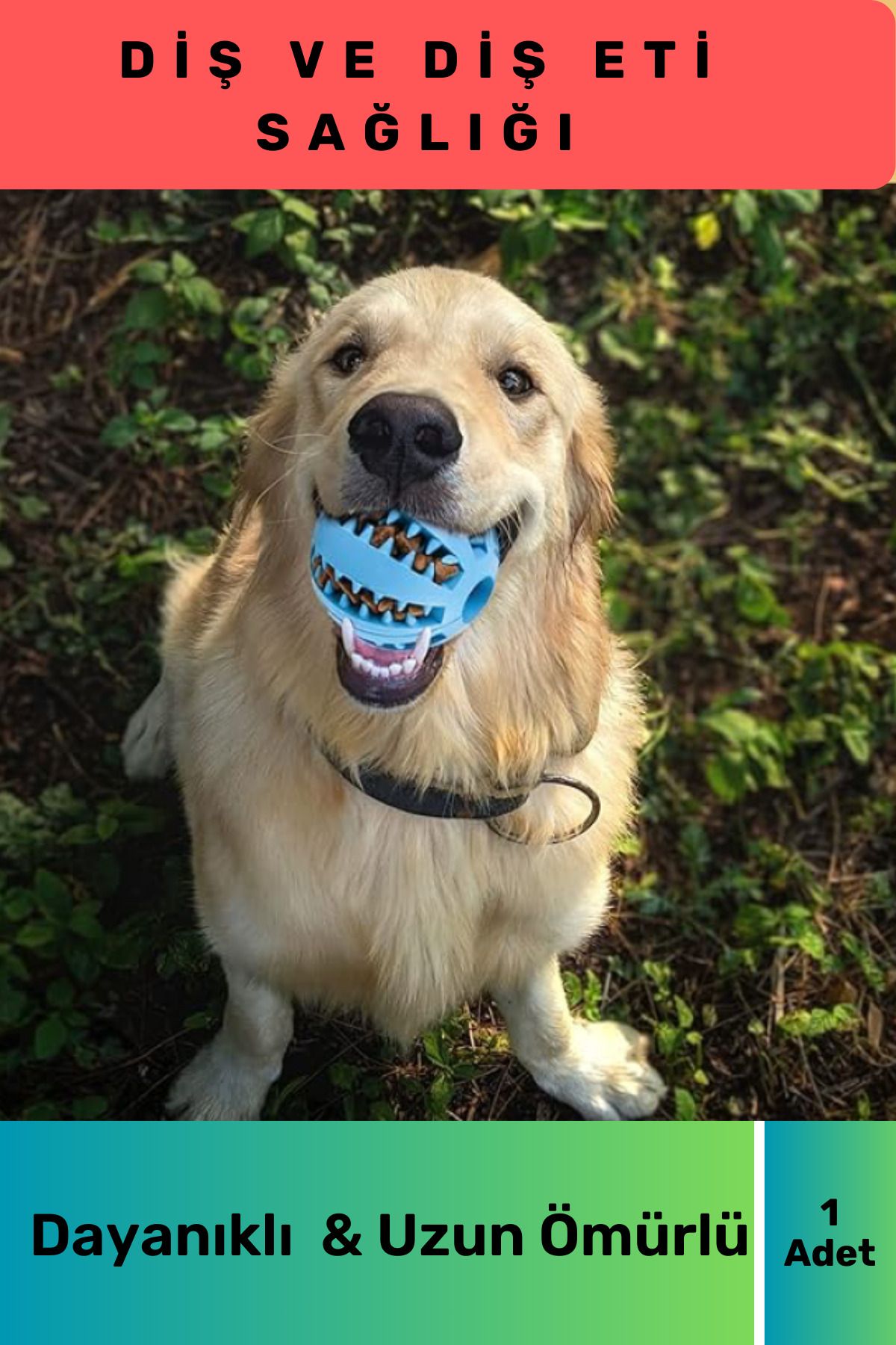 Özel Tasarım Mavi Mama Hazneli Kedi Köpek Ödül Tabanlı Eğitim Oyun Topu Sağlıklı Diş Kaliteli Enerji