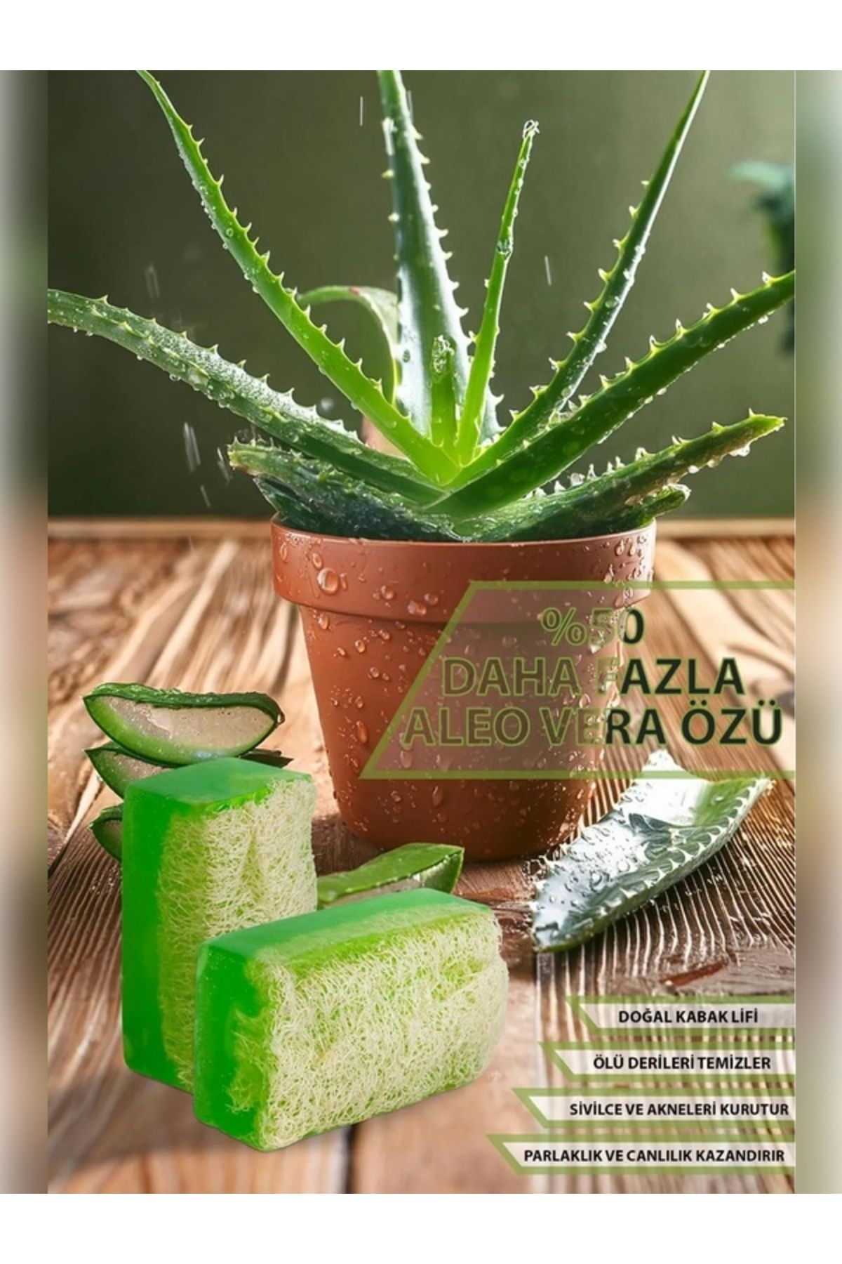 Natural Doğal Kabak Lifli ElYapımı Aloe Vera...