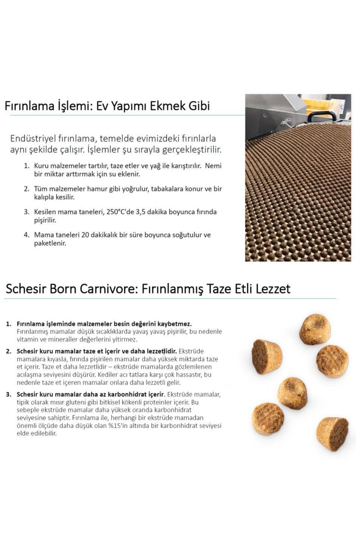 Born Carnivore Tavuklu ve Yumurtalı Tahılsız Kedi Maması 255 Gr