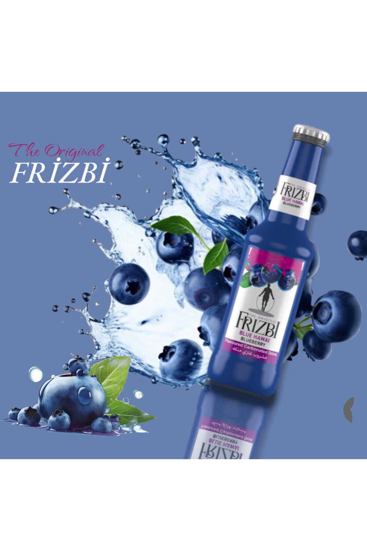 FRIZBI Aromalı Gazlı İçecek - Yaban mersini Gazoz - blueberry (6 ADET)