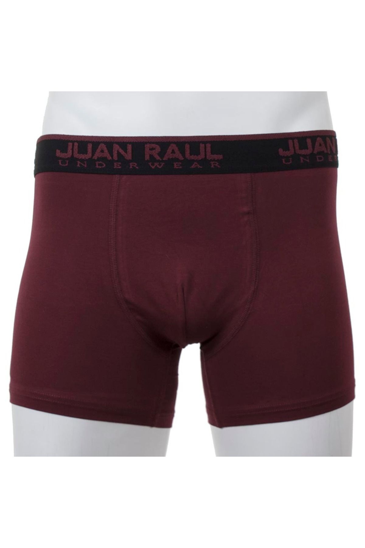 Juan Raul Erkek Boxer