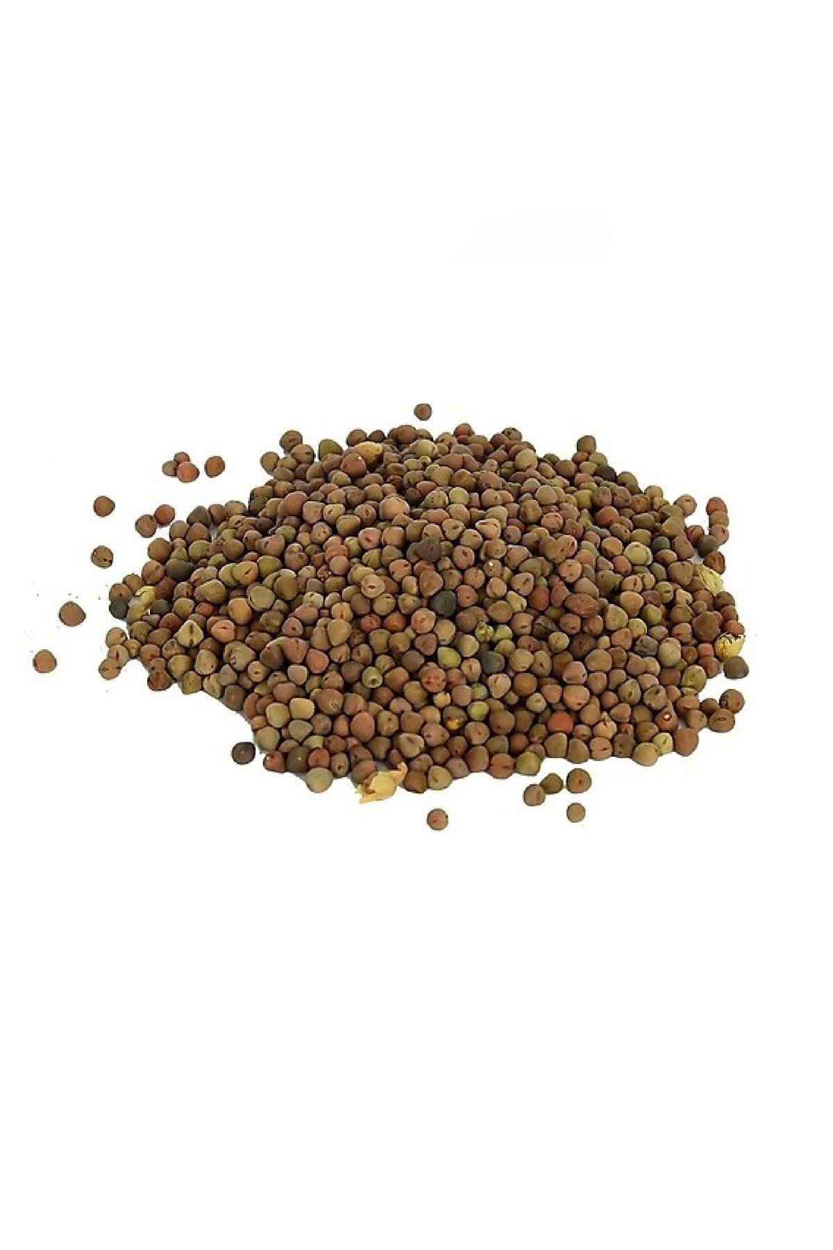 Burçak Tohumu Lathyrus 100 gr