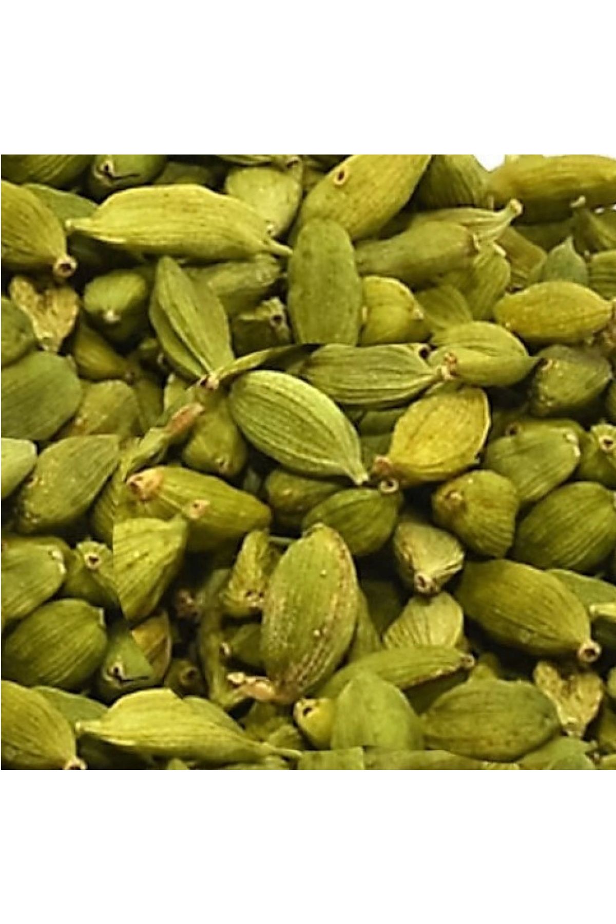 Kakule Tane Elettaria cardamomum 100 gr