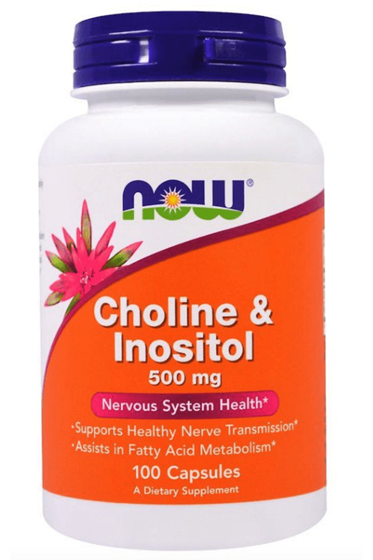 Now Foods Now Choline &Inositol, 500mg 100 Ve...