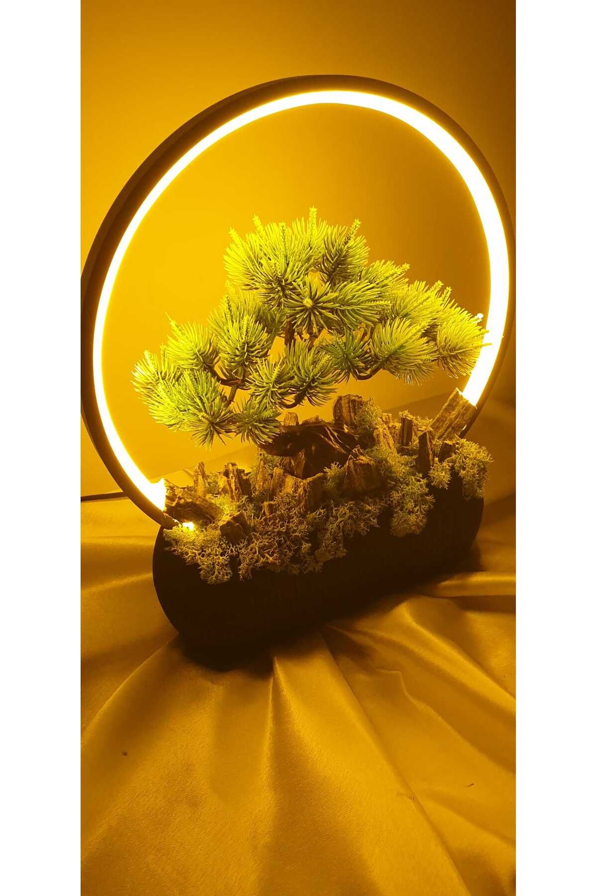 Ahel LED DÖŞEMELİ MİNİBONSAİLİ ABAJUR