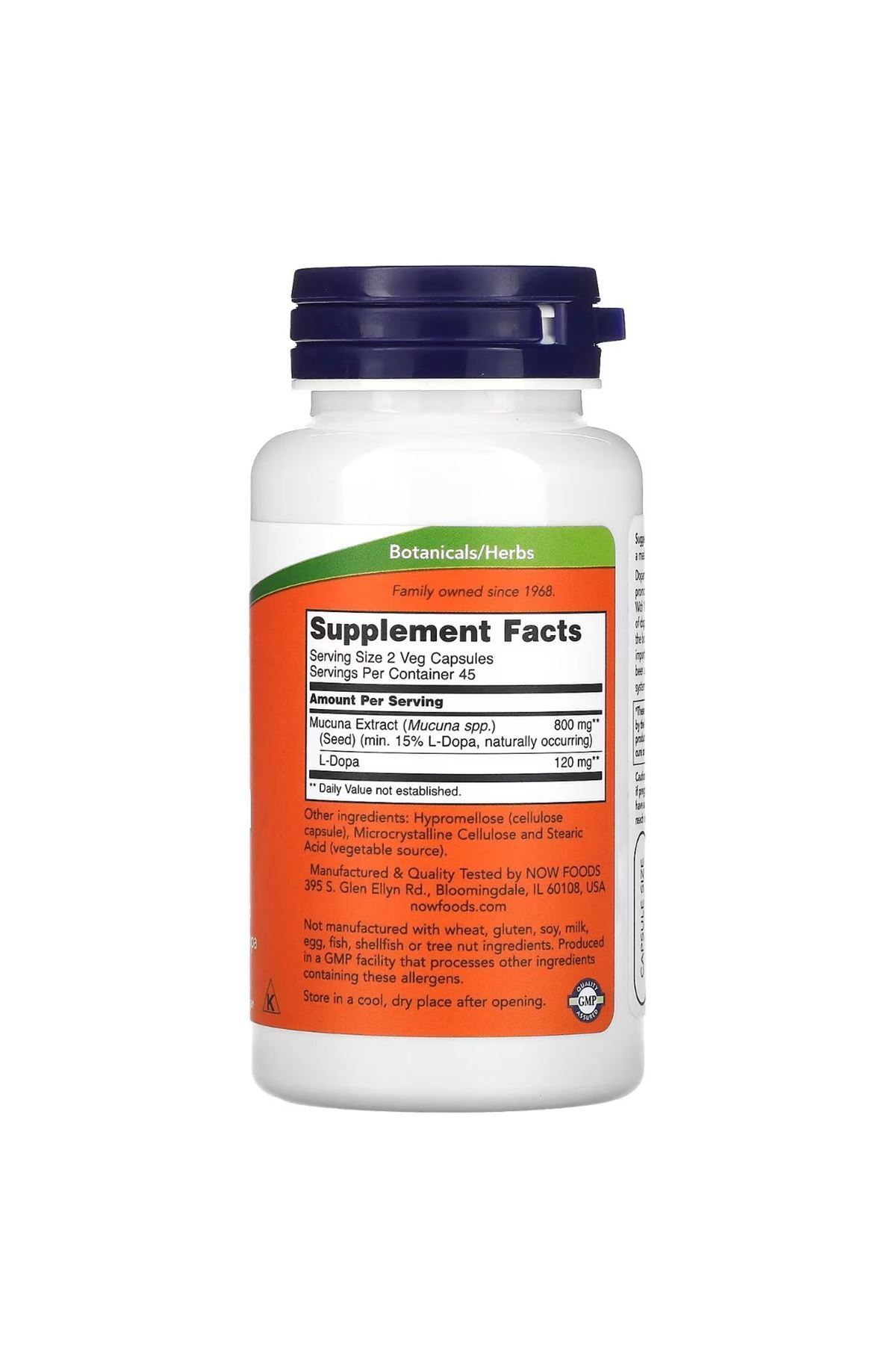 Dopa Mucuna 90 Kapsül Dopam.ne Brain Support Standardized Extract Naturally Occurring 15%