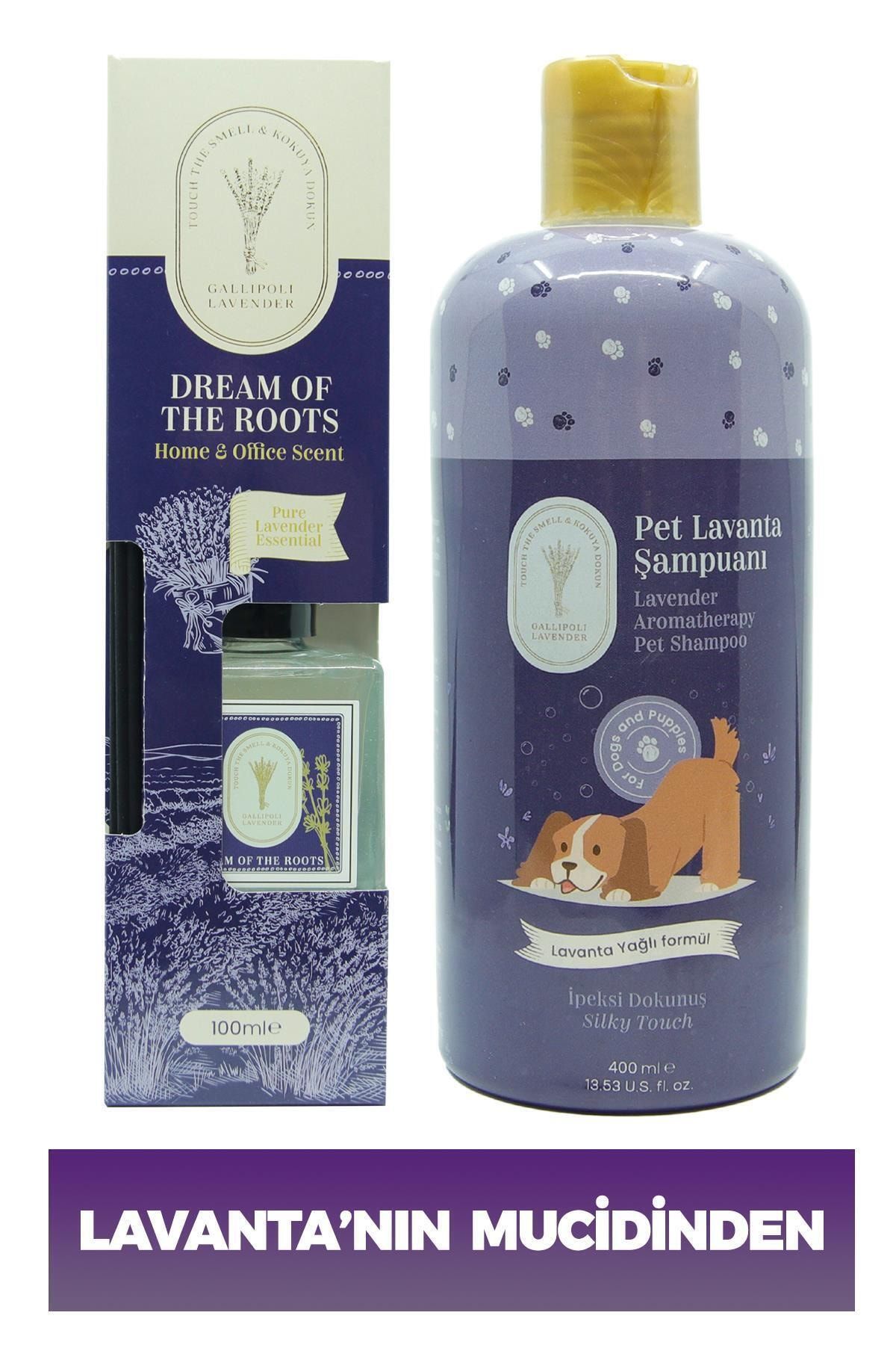 Dr. Lavender Dekoratif Lavanta Oda Kokusu 100 Ml + Pire Önleyici Köpek Şampuanı 400 Ml