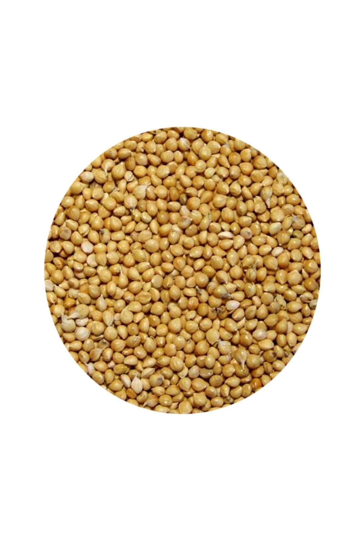 Malatya Muhabbet Kuşu Yemi Sarı Darı 20kg