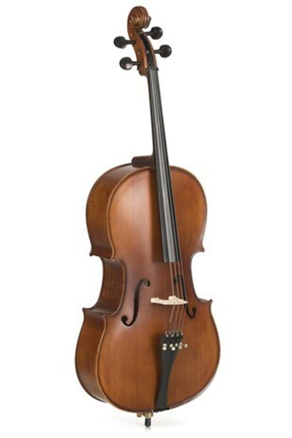 Bardsen 1/2 Çello Masif Ağaç
