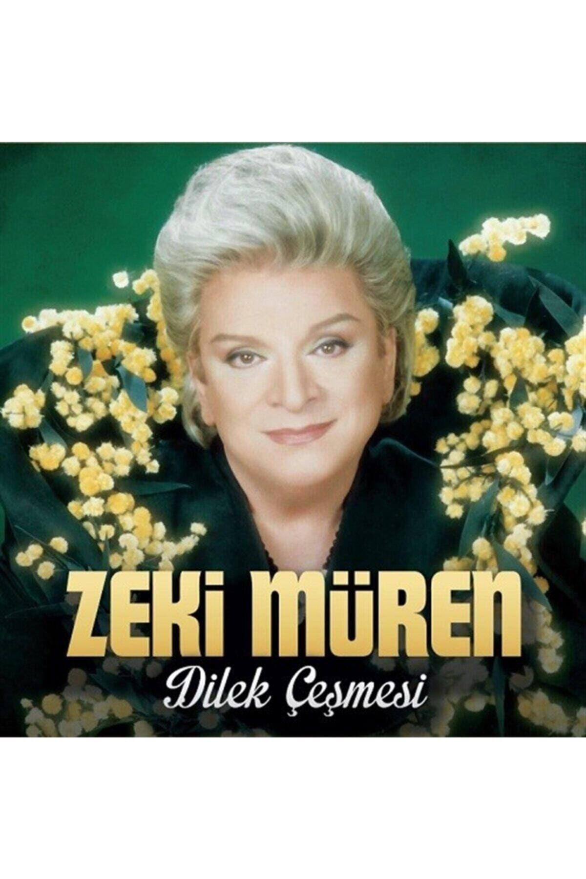 Gereksiz Şeyler Zeki Müren Dilek Çeşmesi Plak