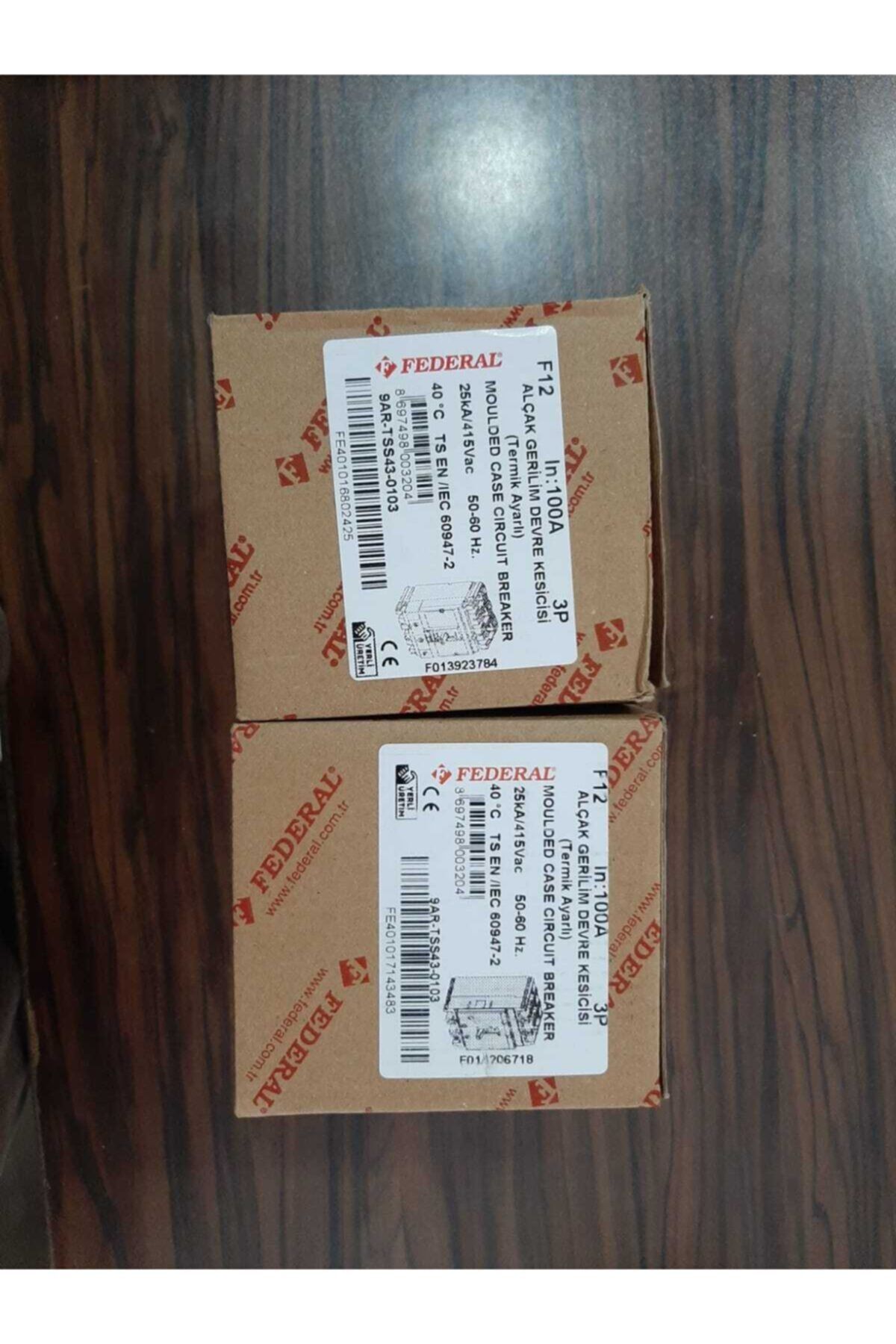 Federal 3x100 Amper Alçak Gerilim Devre Kesici
