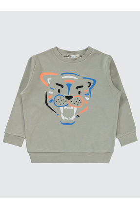 Erkek Çocuk Sweatshirt 2-5 Yaş Soft Gri Image 0