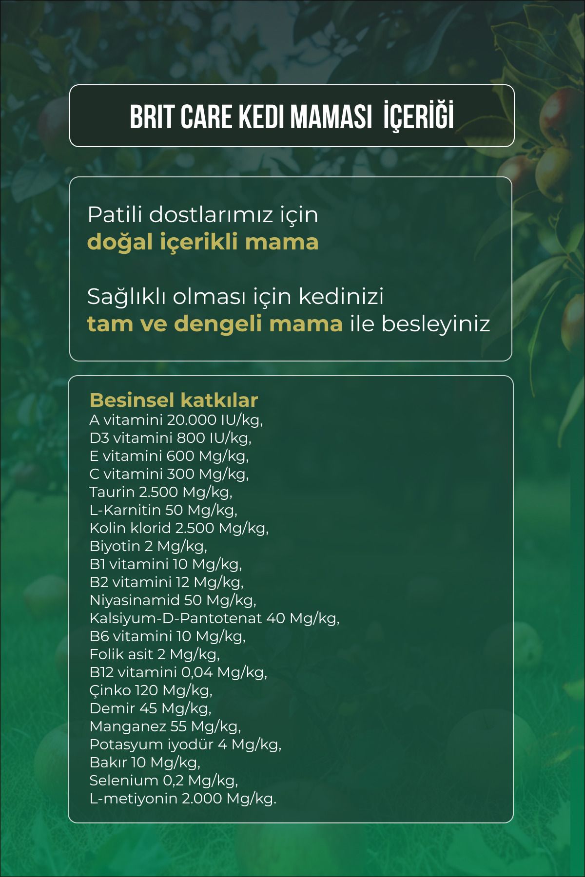 Tahılsız Sensitive Hindili Somonlu Kedi Maması 7 Kg