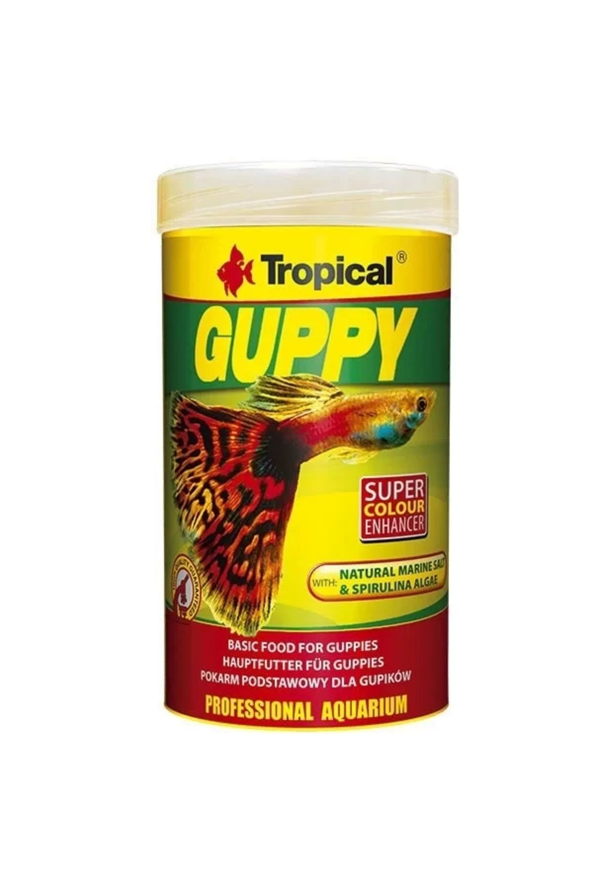 Tropical Guppy LepistesBalıkları Için Pul Bal...