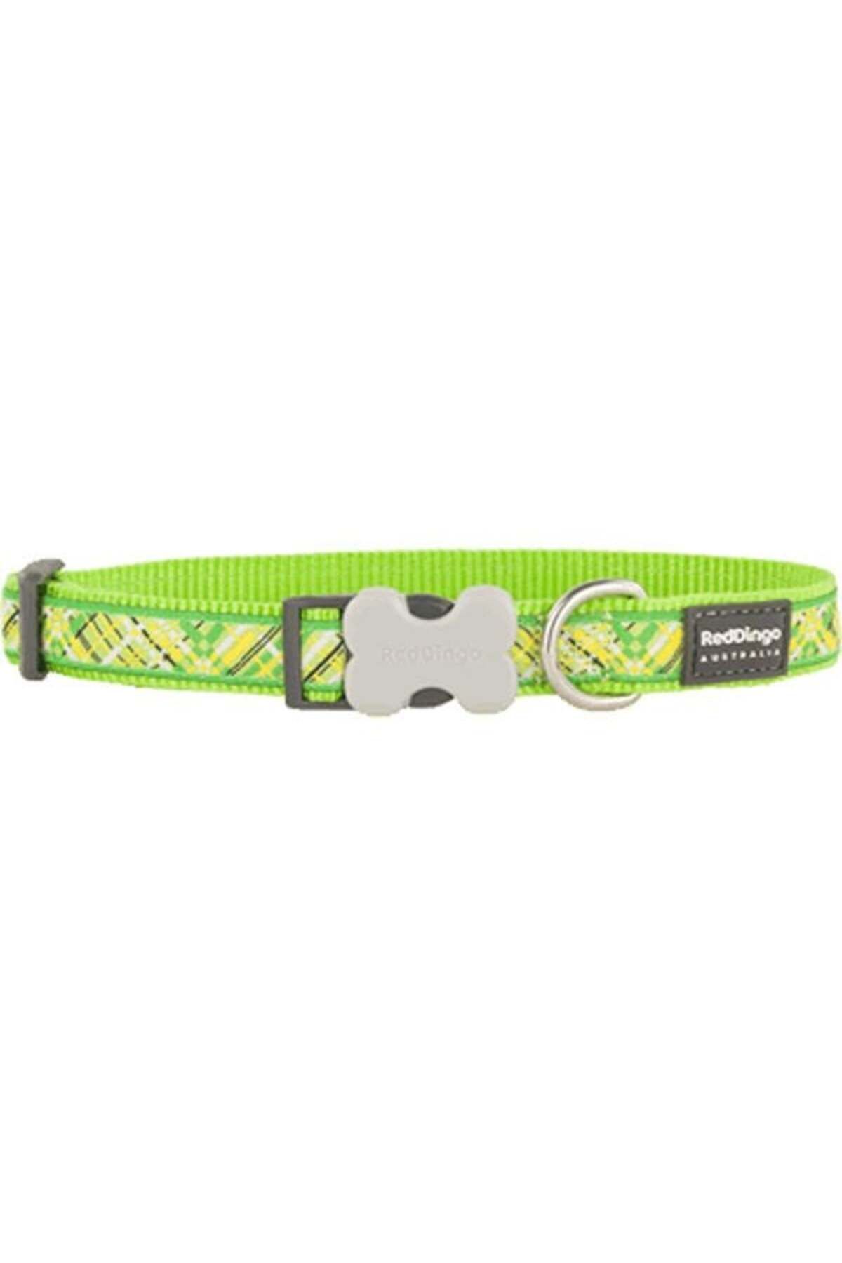 REDDİNGO FLANNO DESENLİ LİME KÖPEK BOYUN TASMASI M 20MM / 31-47 CM