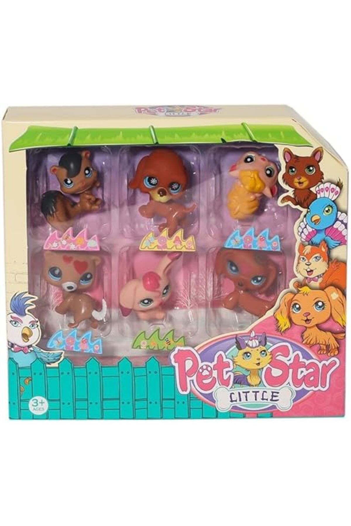 KIZILKAYA PET STAR LITTLE 6LI MINIS