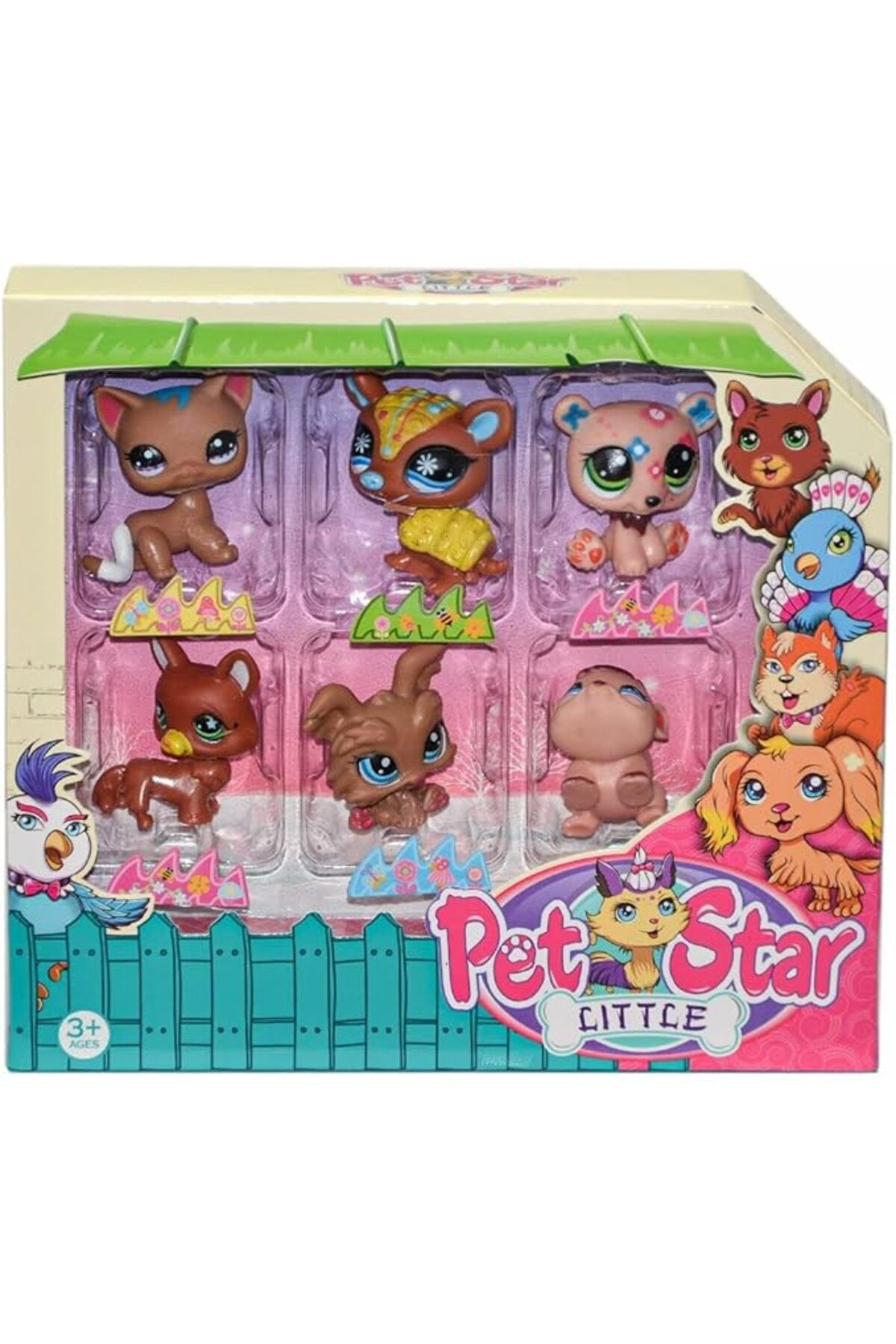 KIZILKAYA PET STAR LITTLE 6LI MINIS