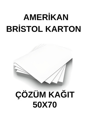 Amerikan Bristol Karton 50X70 Cm 210 gr - 10 Adet Image 0