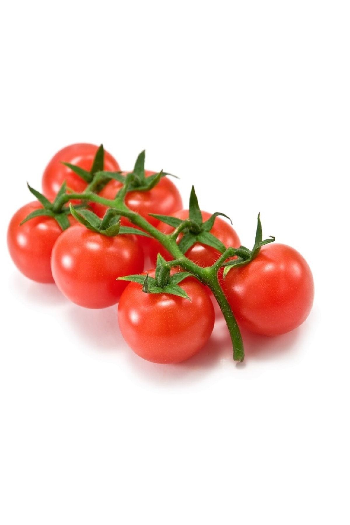 DOĞANBEY Salkim Domates 500 gr