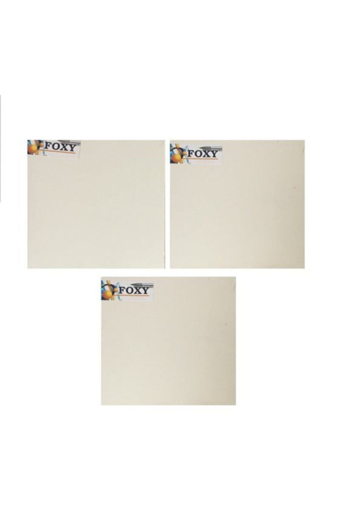 Foxy Tuval 20x20 3 Lü Paket