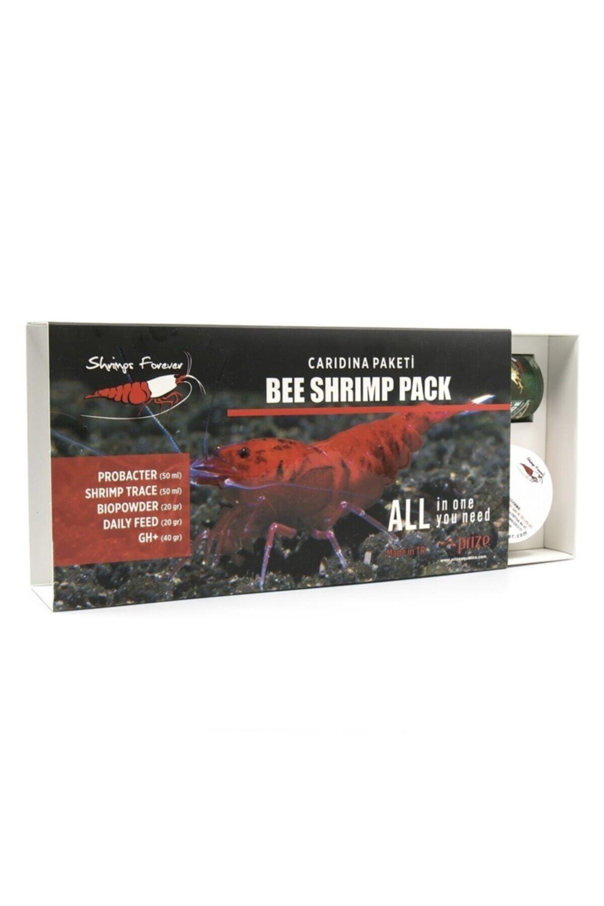 ShrimpsForever Caridina Sp Starter Pack