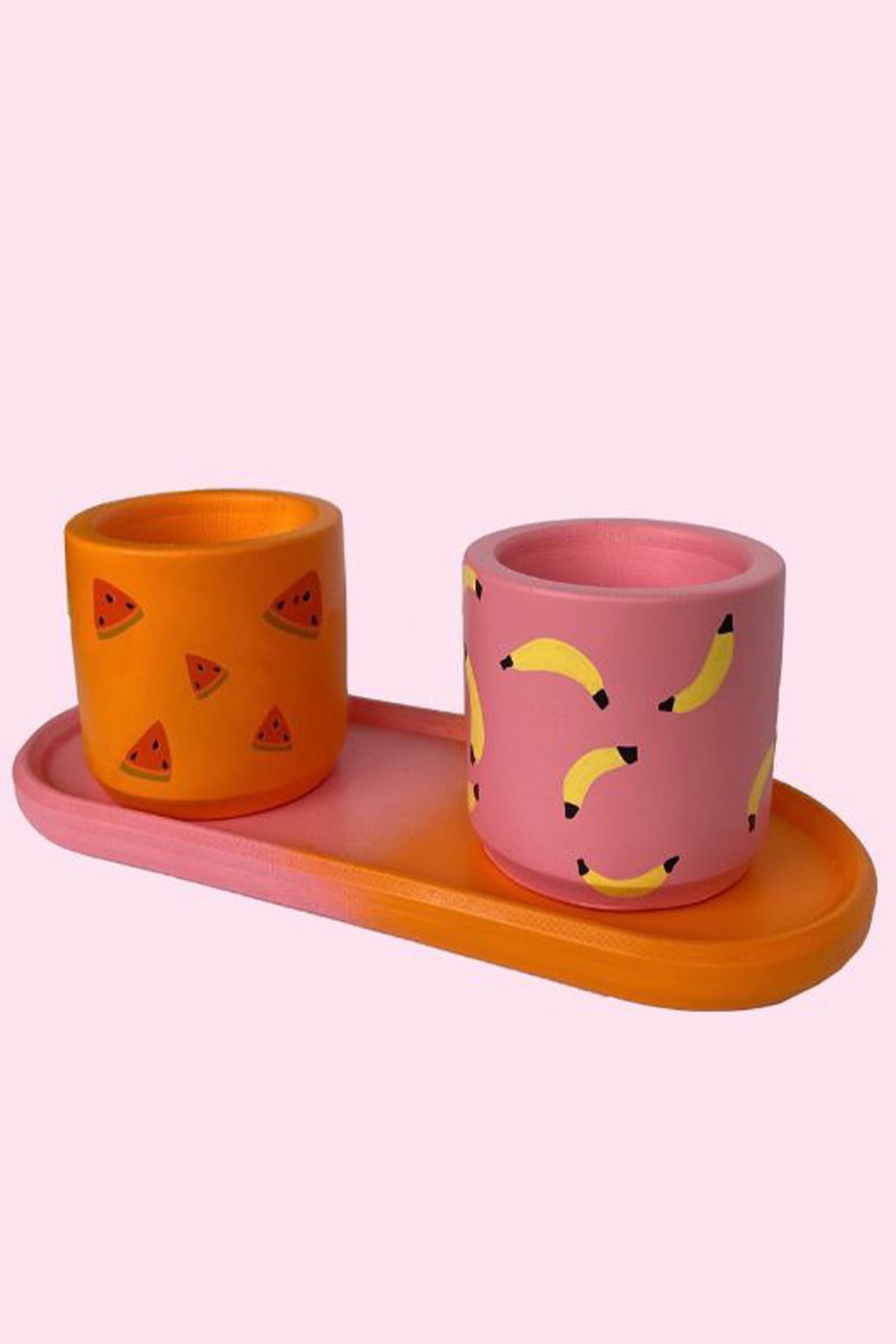 Lazy Things Club Fruity Sukulent Saksı Seti