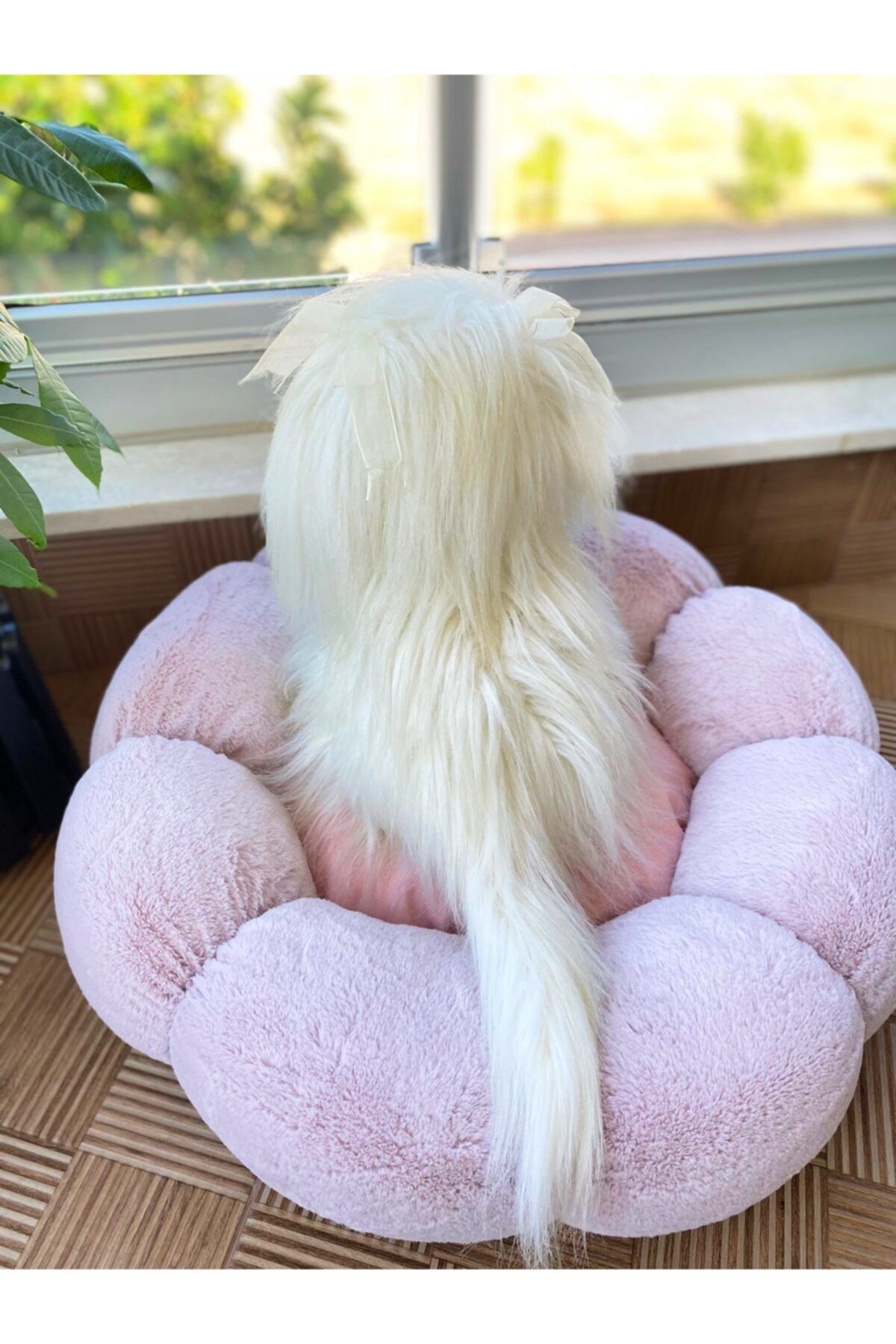 liber custom design Lila Papatya Kedi Köpek Yatağı