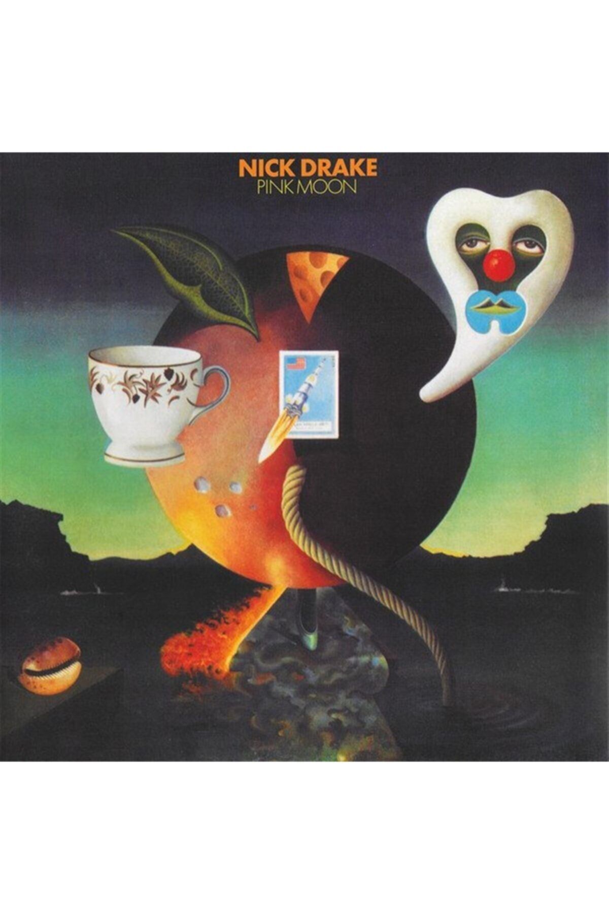 RNBW45 Nıck Drake - Pınk Moon