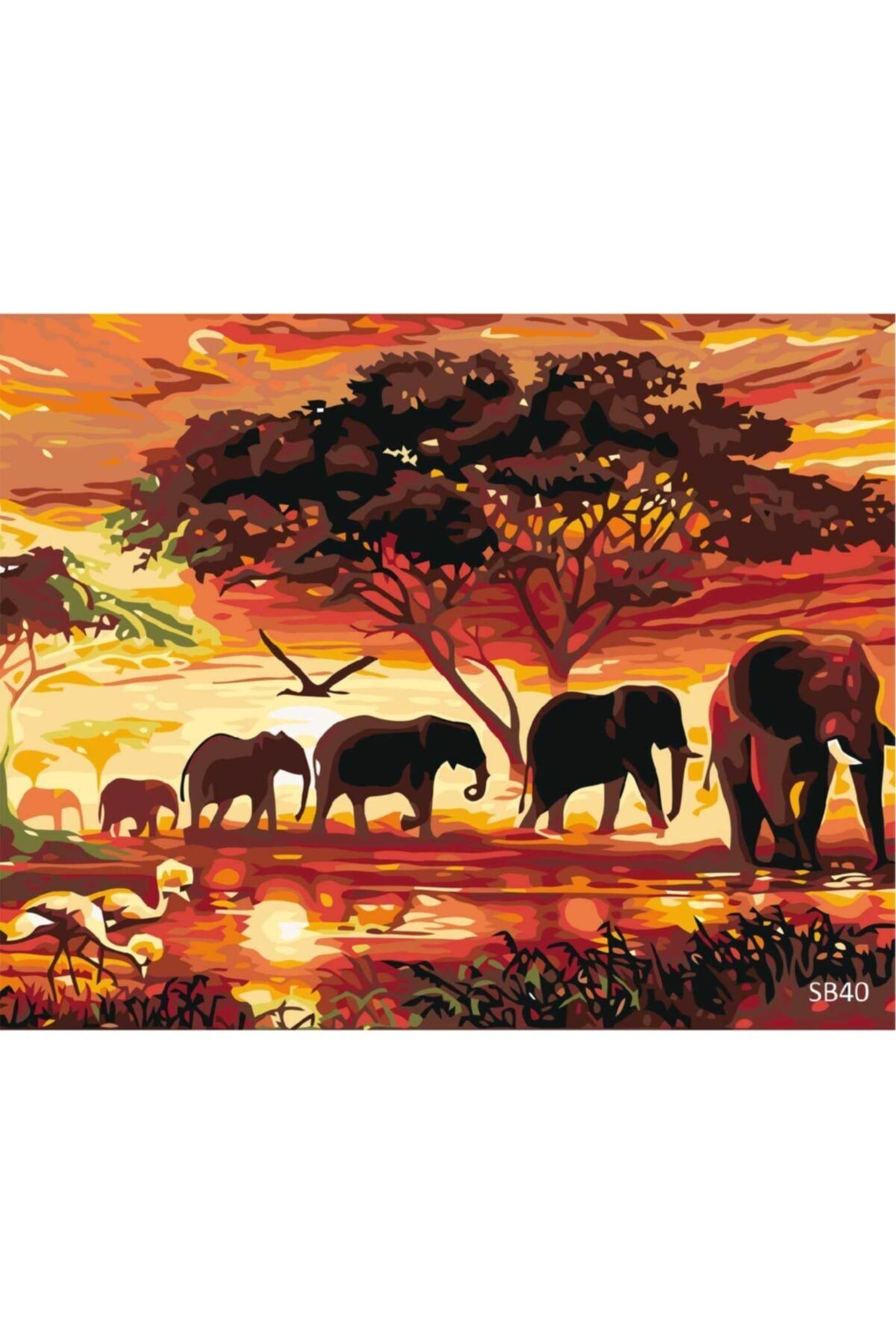 PlusHobby Sayılarla Boyama Seti Fil Ailesi 40x50cm Tuval