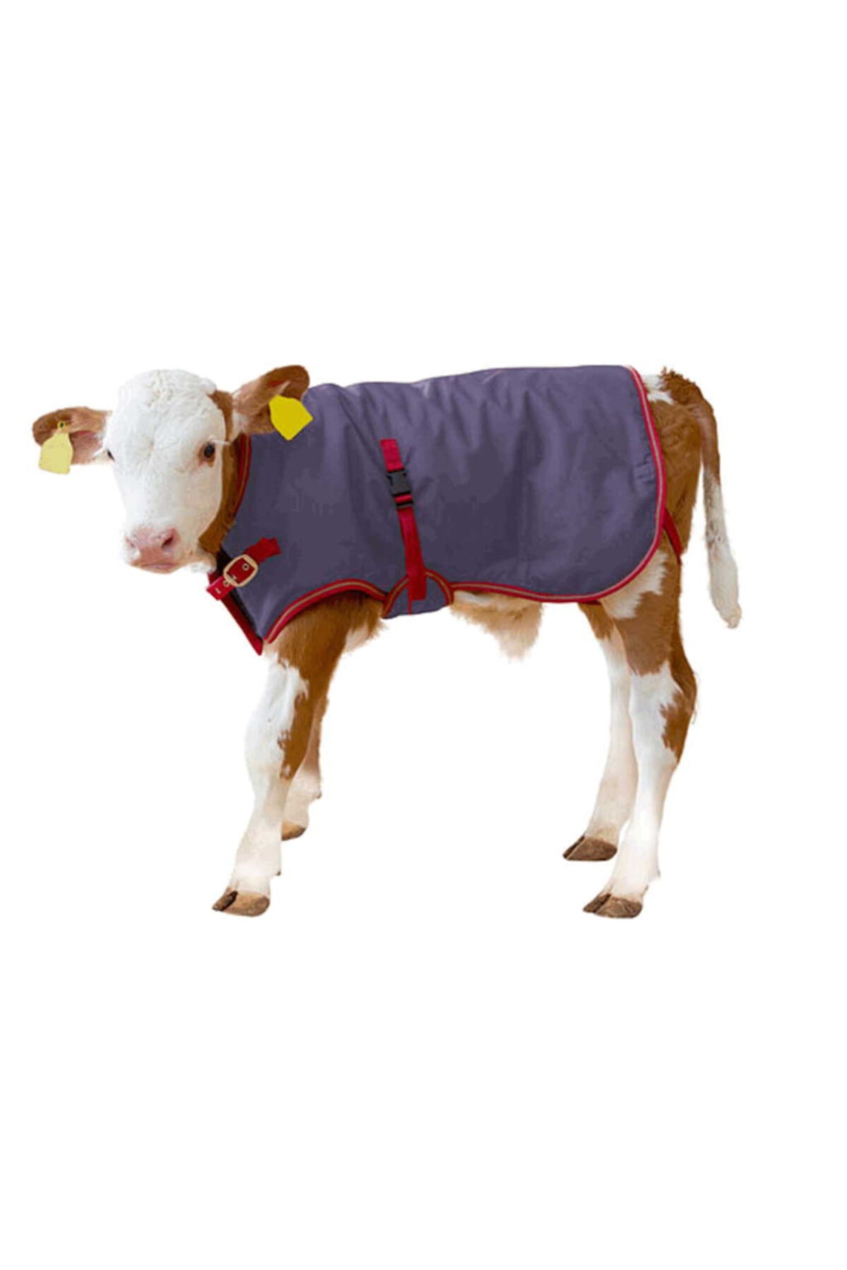 KERBL Buzağı Battaniyesi Thermoplus 80 Cm