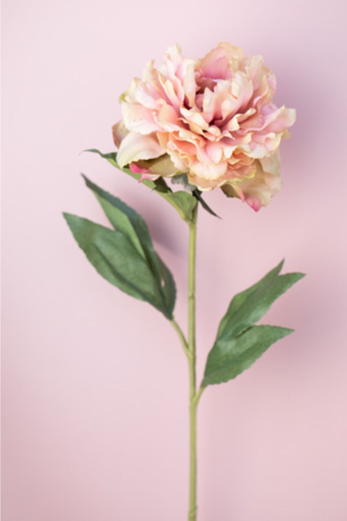 BRAYA FLEUR Yapay Pembe-yeşil Şakayık Dalı 80 cm