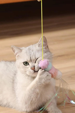 Tırtıl Kedi Oyuncağı, Kendinden Yapışkanlı, Zilli, Elastik İpli, Asılı Kedi Oyuncağı Image 6