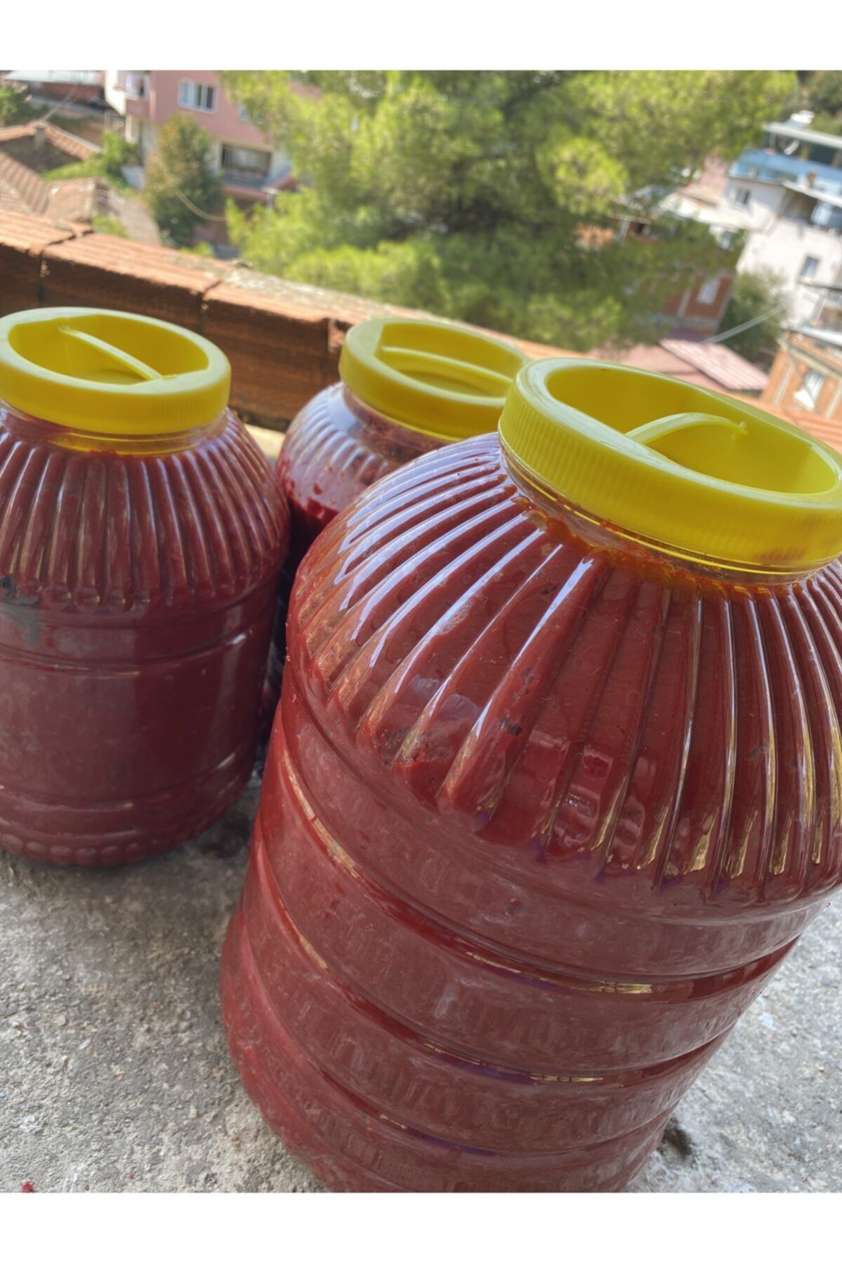 ÜNLÜ EGE TARIM ÜRÜNLERİ Ev Yapımı Salça 1kg