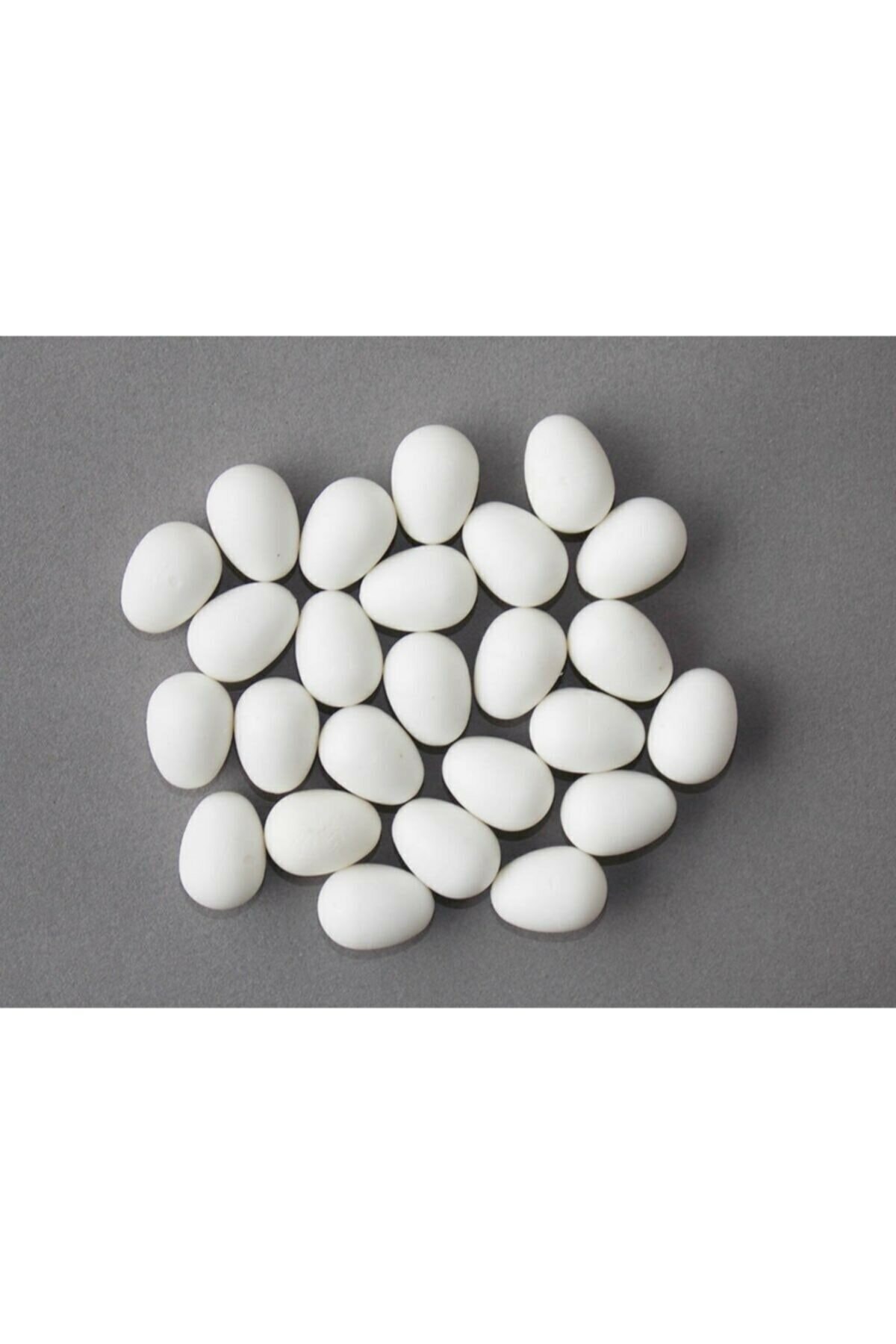 letsgetpet 10 Adet Sahte Plastik Kuş Yumurtası (kanarya,muhabbet Kuşu)