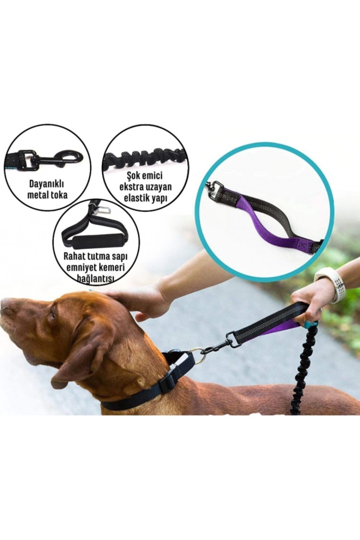 Eurodog Köpek Uzatma Gezdirme Tasma Elastik Şok Emicili Reflektörlü Tasma
